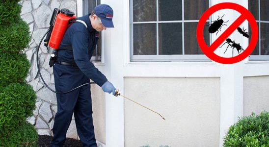 Çay Gümüşkurt İlaçlama böcek ilaçlama ve haşere kontrolü — ilaclama-tr.com